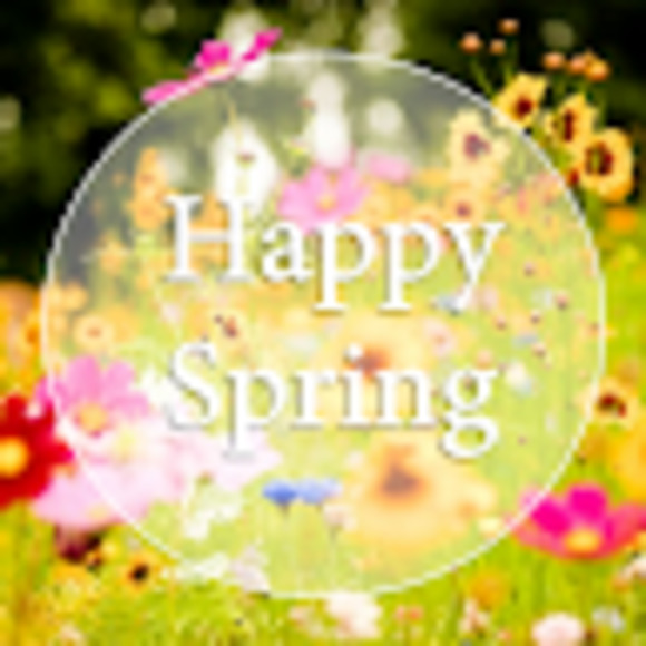 Meet your Posher, Jennifer - Picture 1 of 1